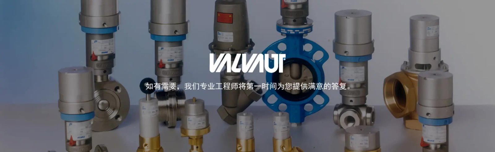 意大利Valvaut气动阀